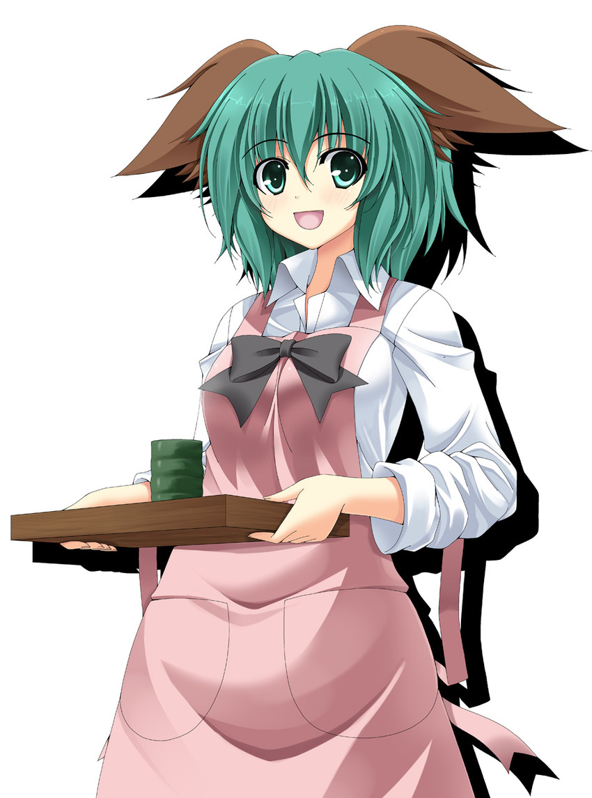 kasodani kyouko (touhou) drawn by rappa_(rappaya)