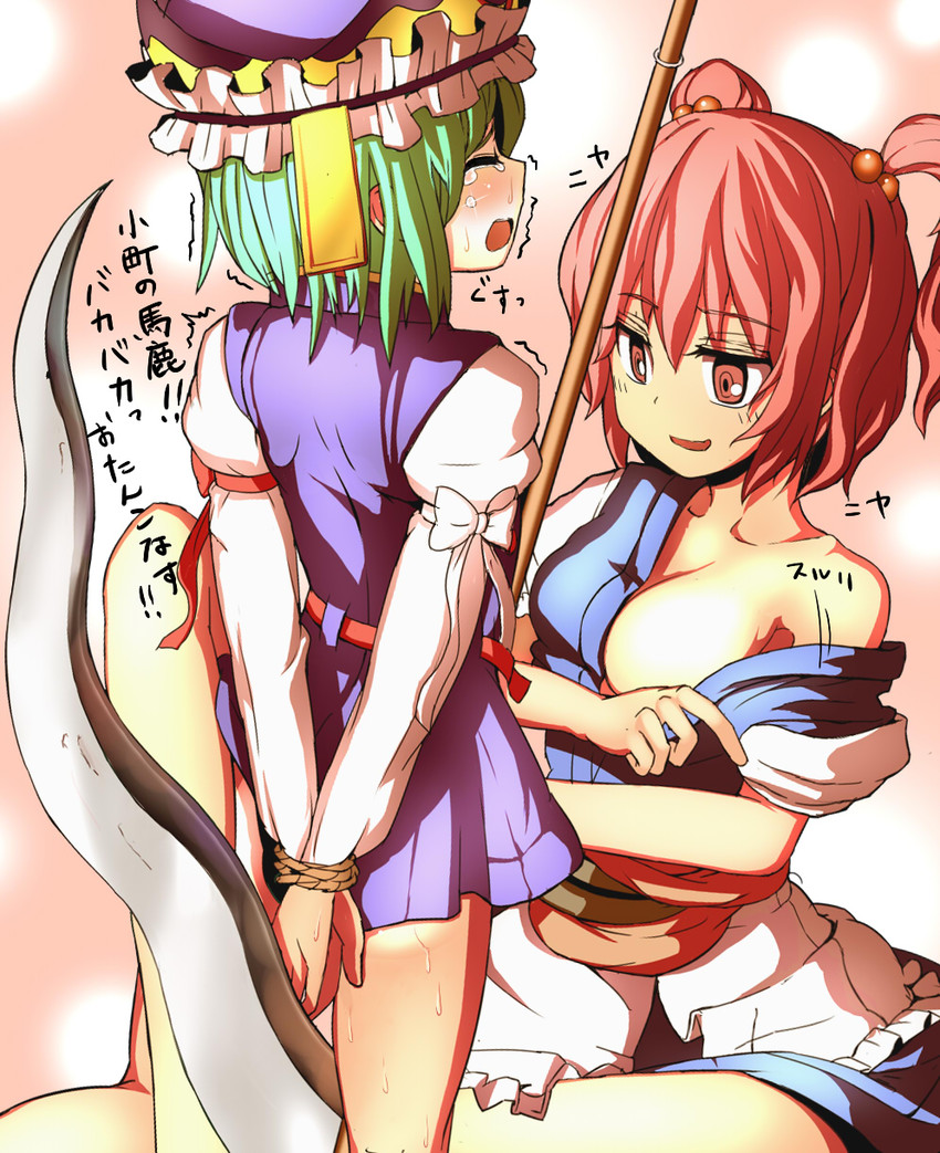 shiki eiki and onozuka komachi (touhou) drawn by organ_derwald