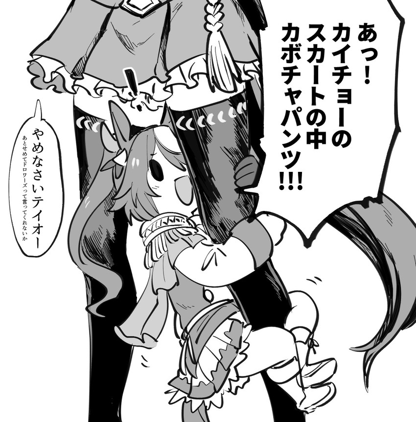 tokai teio and symboli rudolf (umamusume) drawn by takatsuki_nato