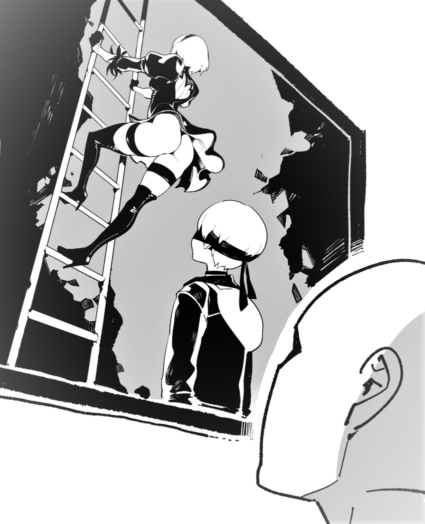 2b and 9s (nier and 1 more) drawn by fishine
