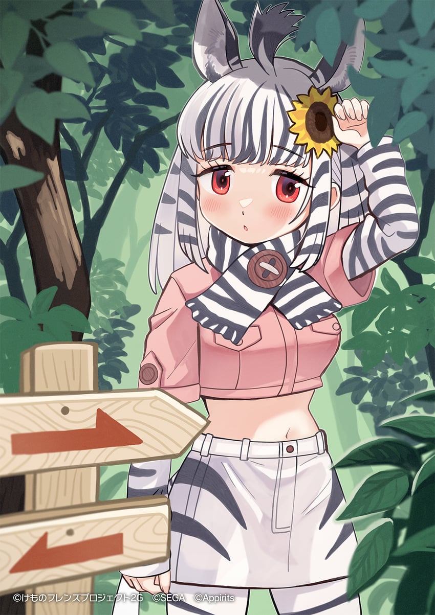 mountain zebra (kemono friends and 1 more) drawn by sunayama_sunaco