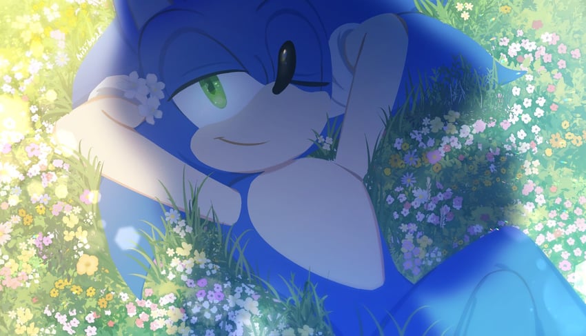 sonic the hedgehog (sonic and 1 more) drawn by nisibo25