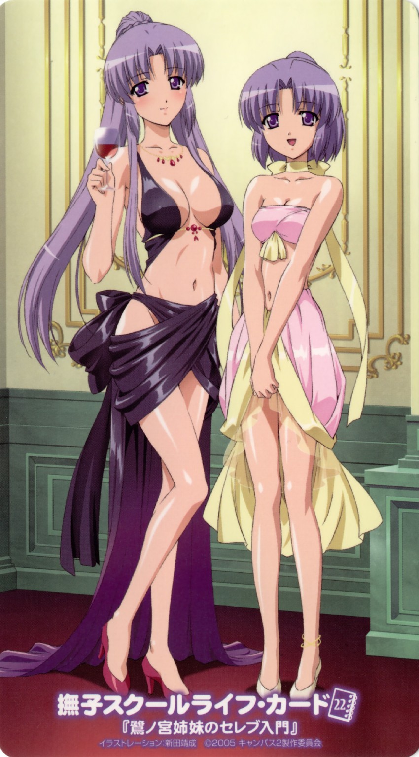 saginomiya saya and saginomiya ai (canvas and 1 more) drawn by nitta_yasunari