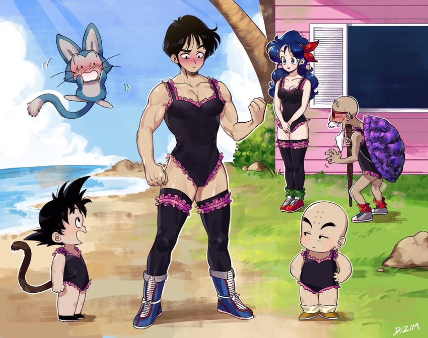 son goku, kuririn, lunch, muten roushi, yamcha, and 1 more (dragon ball) drawn by dizim