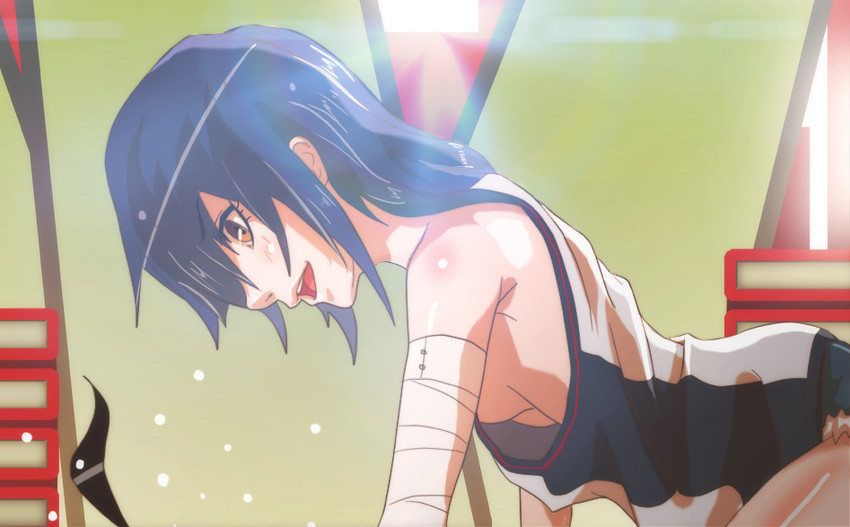 araragi koyomi and kanbaru suruga (monogatari and 2 more) drawn by s.h.v