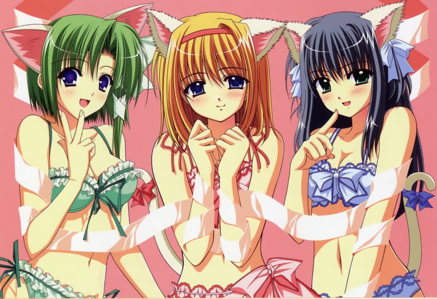 shigure asa, fuyou kaede, and yae sakura (shuffle! and 1 more) drawn by nishimata_aoi and suzuhira_hiro