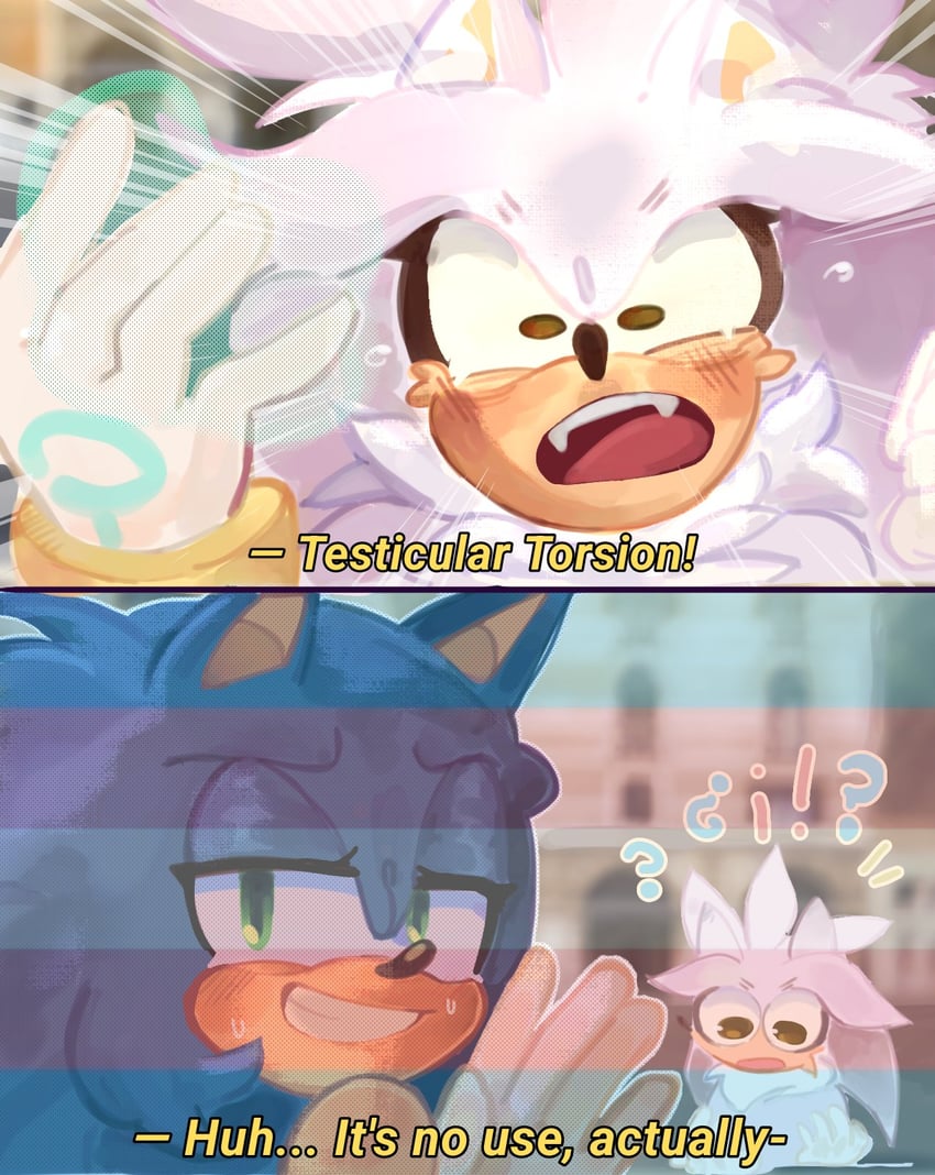 sonic the hedgehog and silver the hedgehog (sonic and 1 more) drawn by kira.kira