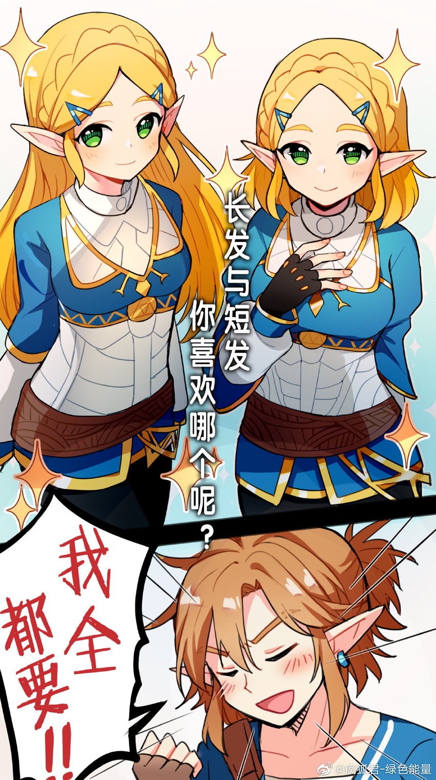link and princess zelda (the legend of zelda and 2 more) drawn by fenghu_(huli)