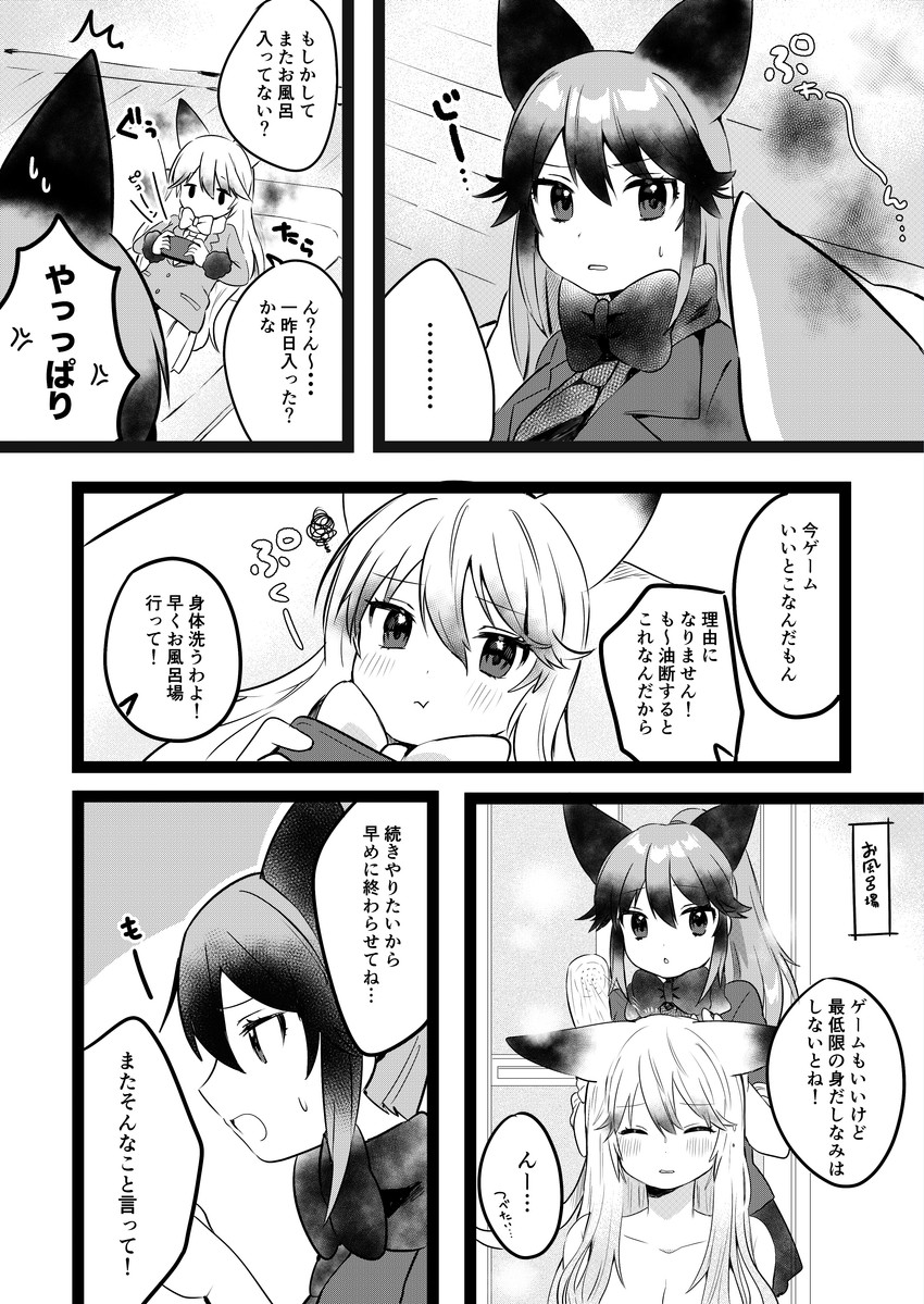silver fox and ezo red fox (kemono friends) drawn by suicchonsuisui