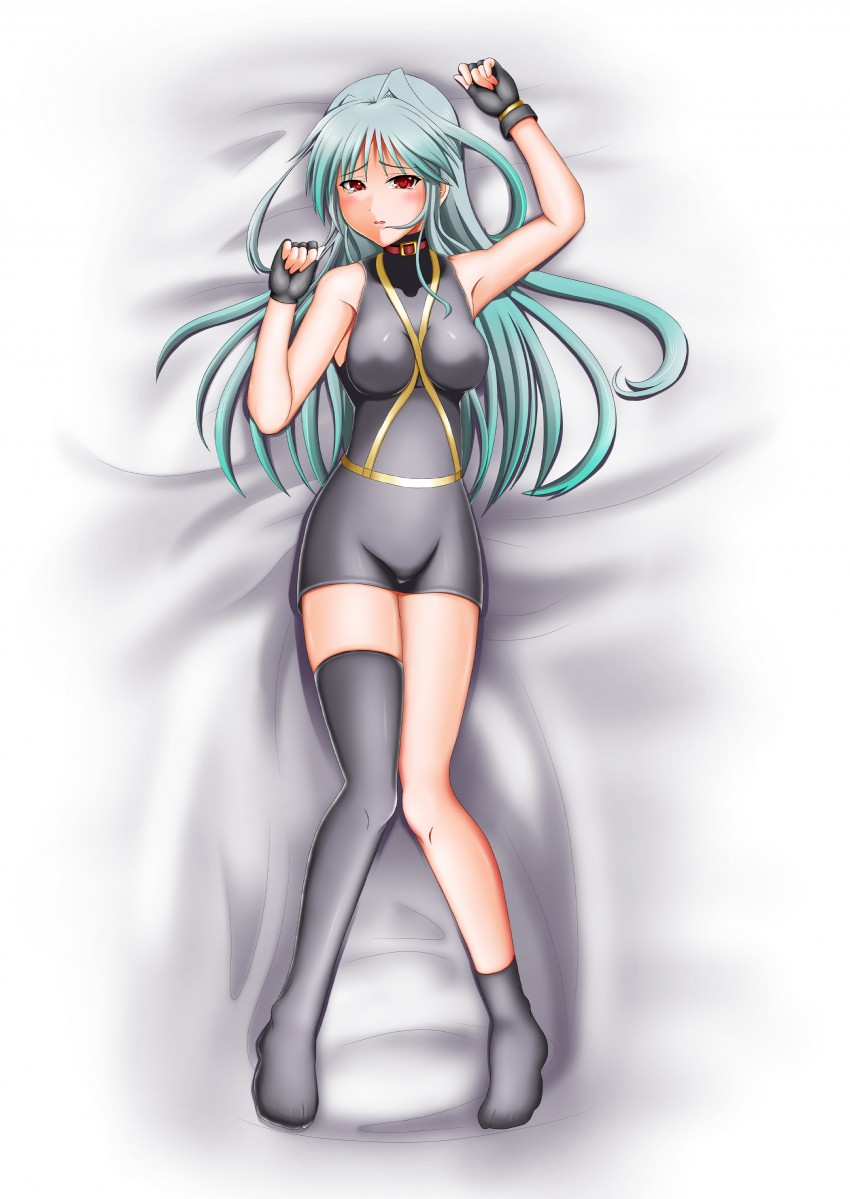 reinforce (lyrical nanoha and 2 more) drawn by moeki_yuuta