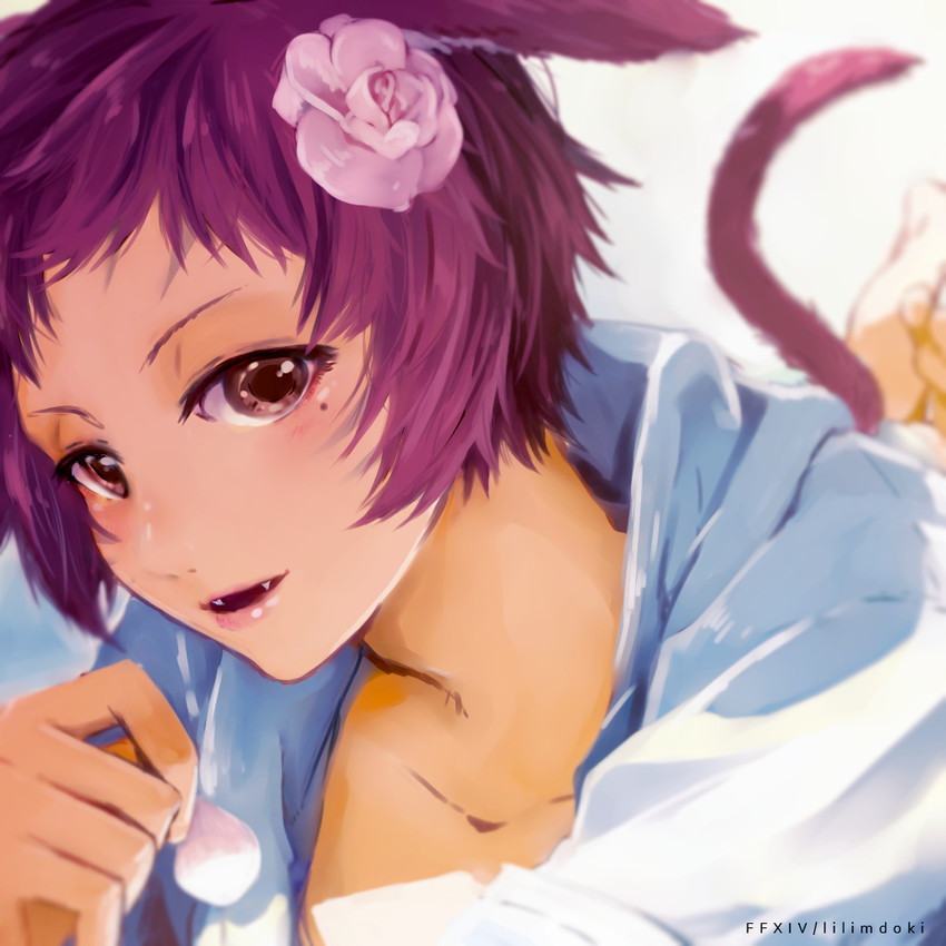 warrior of light (final fantasy and 1 more) drawn by lili_mdoki