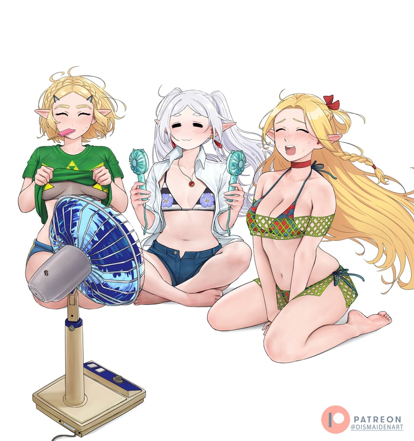 princess zelda, frieren, and marcille donato (the legend of zelda and 3 more) drawn by dismaiden