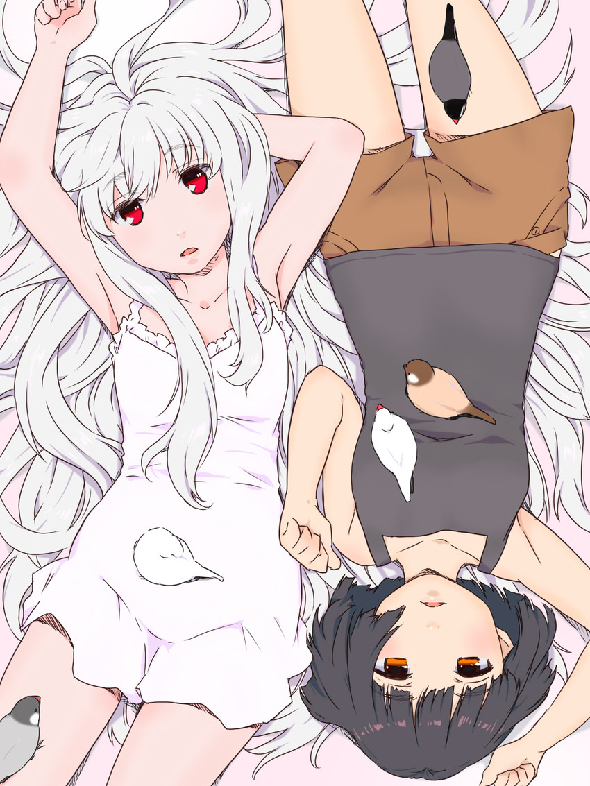 white java sparrow and java sparrow (original and 1 more) drawn by kari_(kakko_k)