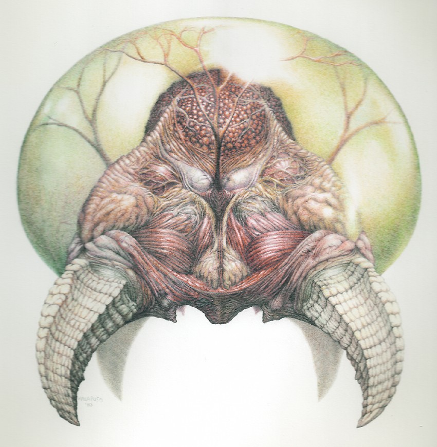 metroid and metroid larva (metroid) drawn by kalapusa