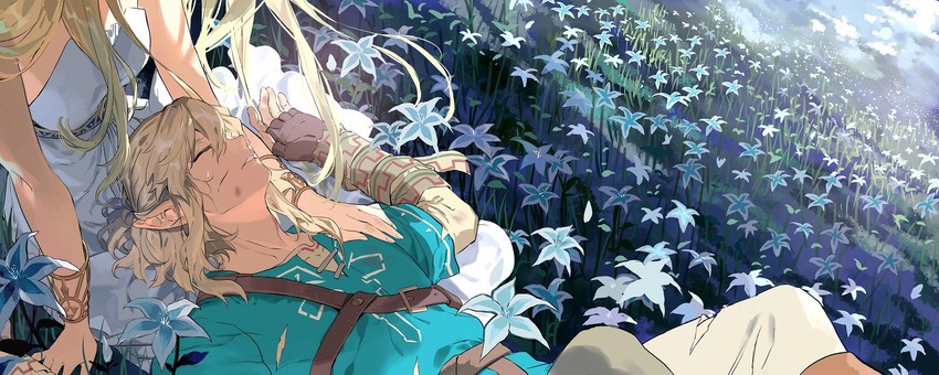 link and princess zelda (the legend of zelda and 1 more) drawn by gyou_chin
