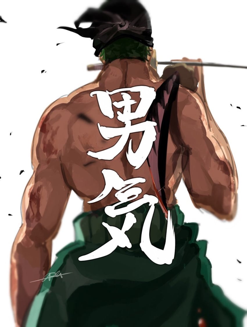 roronoa zoro (one piece) drawn by imamuu_(imamoon)