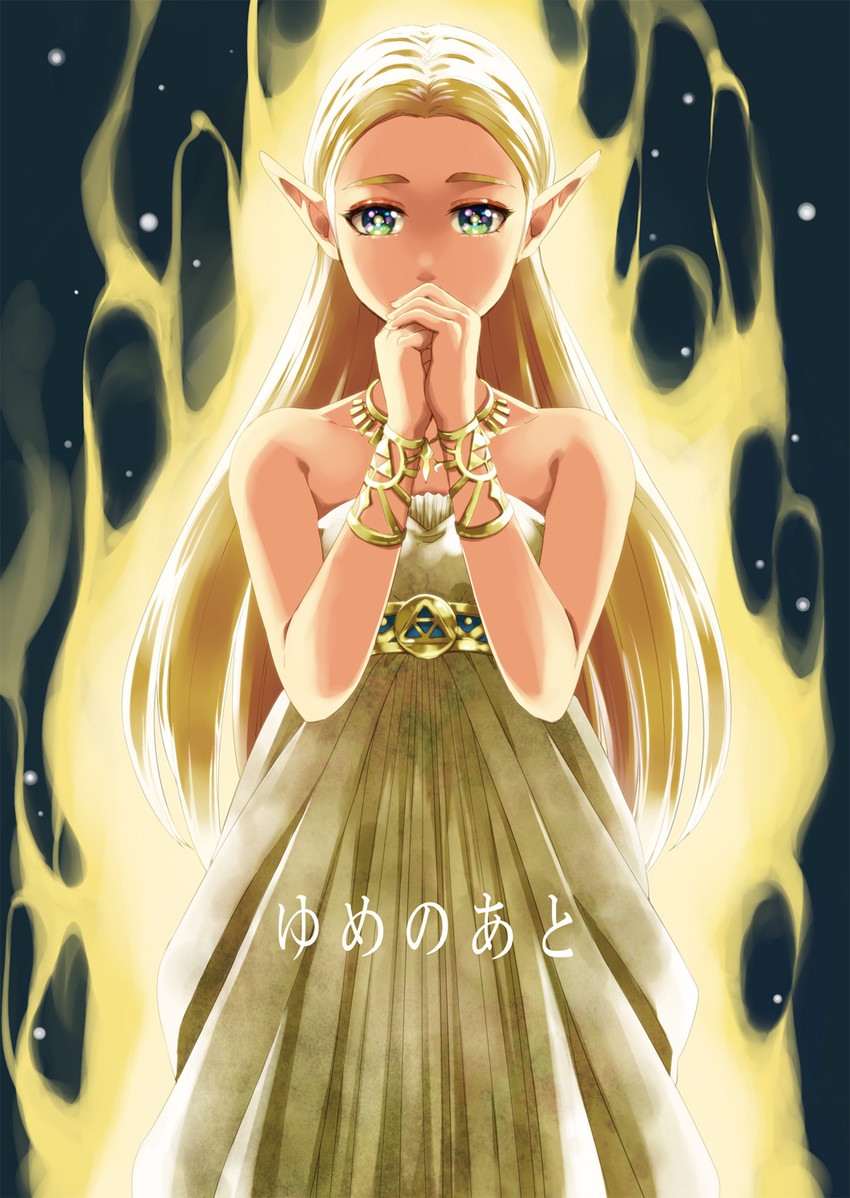 princess zelda (the legend of zelda and 1 more) drawn by saiba_(henrietta)