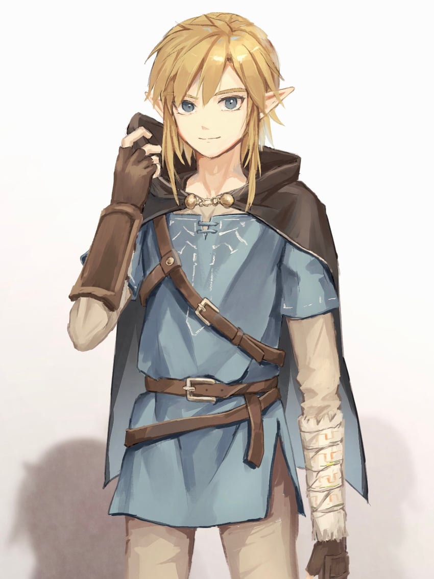 link (the legend of zelda and 1 more) drawn by tete_tuyuten