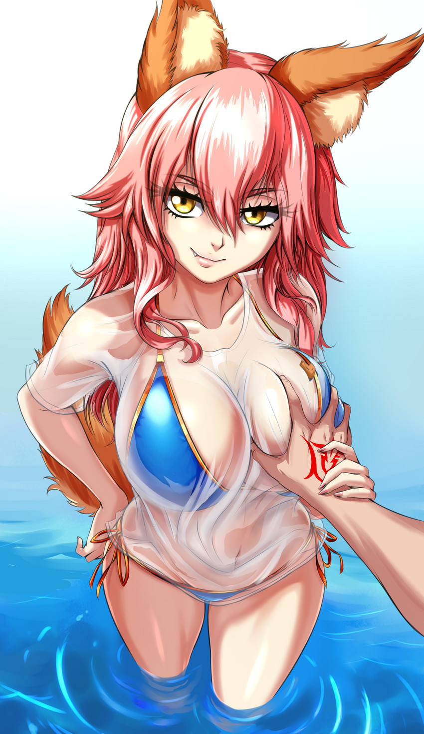 tamamo and tamamo no mae (fate and 1 more) drawn by zantyarz