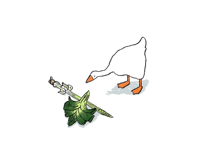 sirfetch'd and goose (pokemon and 1 more) drawn by fern_bautista
