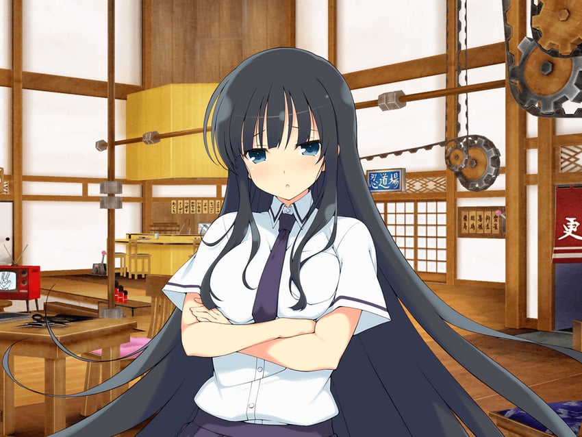 ikaruga and ninto (senran kagura and 2 more) drawn by yaegashi_nan