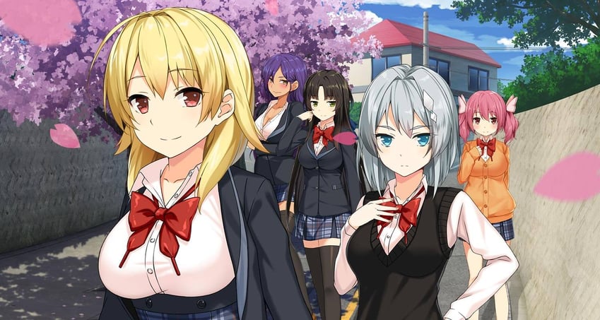 saion-ji enju, hanao akari, momochi myu, machiyuki ricka, and yomoda tengge (moe! ninja girls)