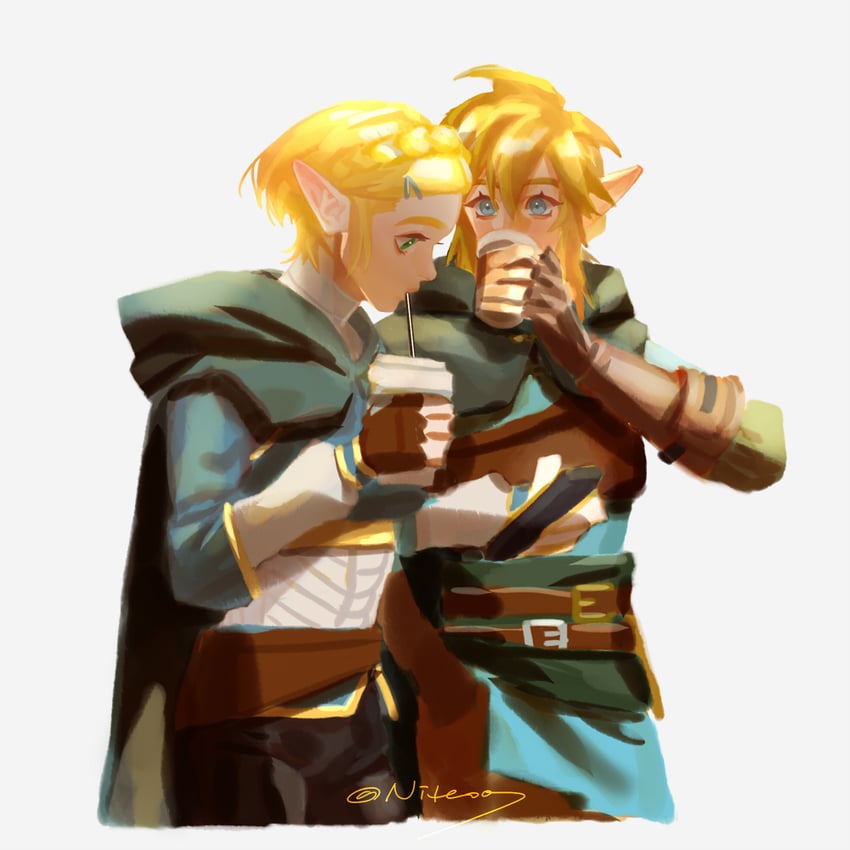 link and princess zelda (the legend of zelda and 1 more) drawn by niteo07