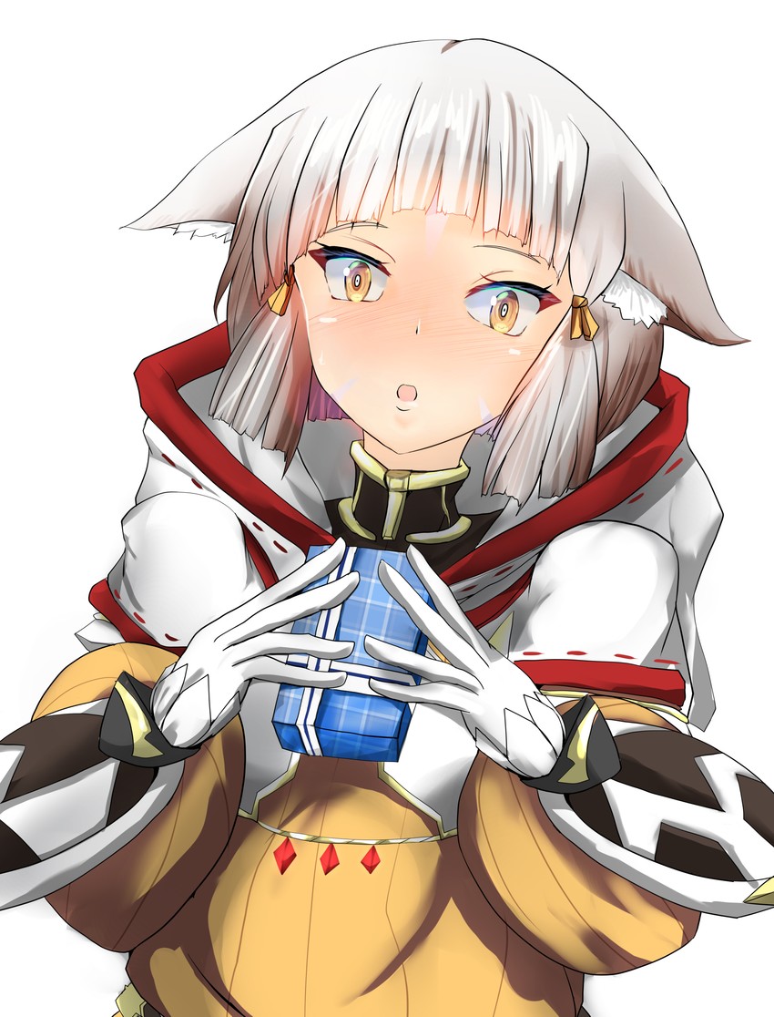nia (xenoblade chronicles and 1 more) drawn by shindayomon