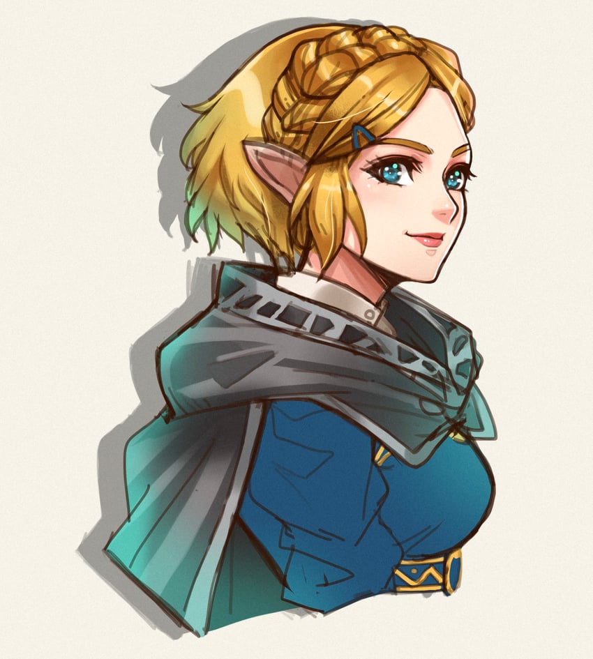 princess zelda (the legend of zelda and 1 more) drawn by lukrevadraws