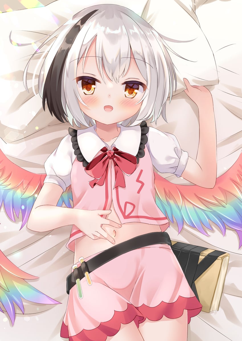 torisumi horou (touhou and 1 more) drawn by umi_suzume