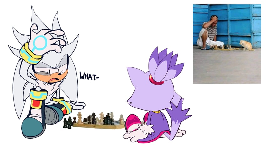 blaze the cat and silver the hedgehog (sonic) drawn by mentita_agria