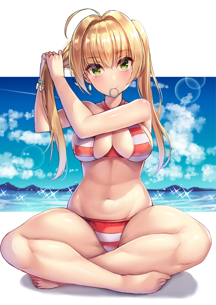 nero claudius (fate and 1 more) drawn by nano_(syoutamho)