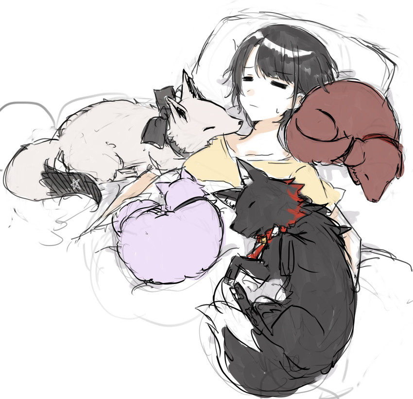 shirakami fubuki, nekomata okayu, ookami mio, oozora subaru, and inugami korone (hololive) drawn by toumori_kanna