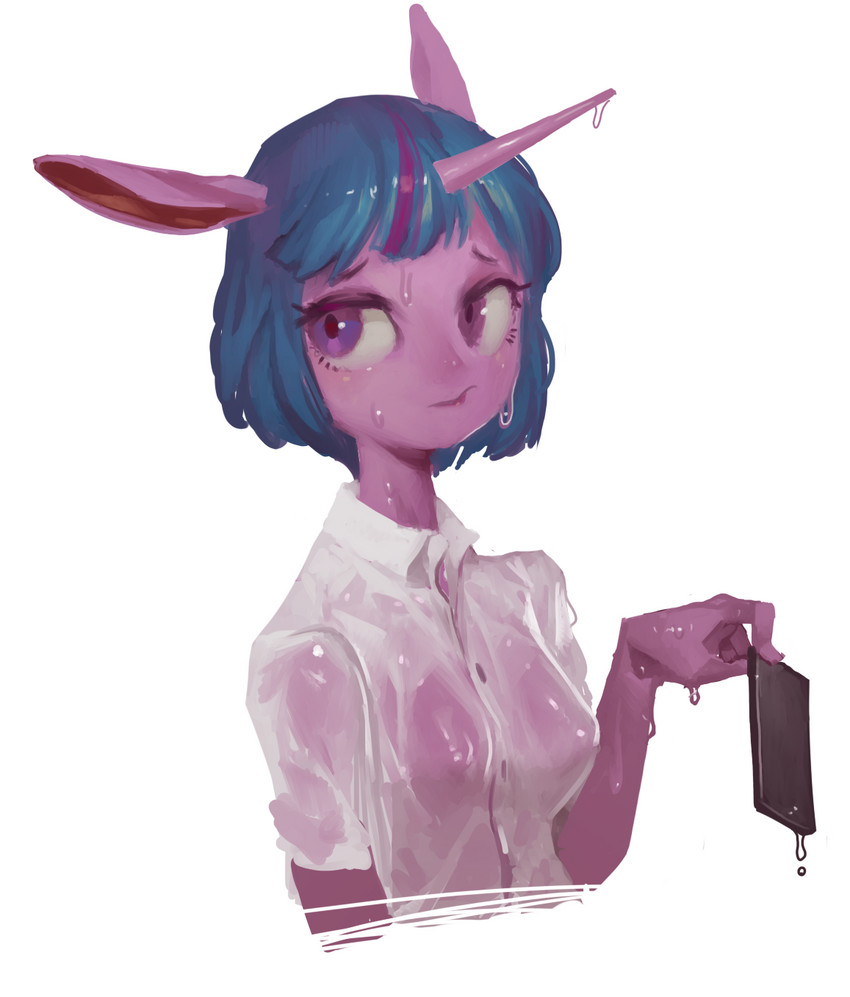 twilight sparkle (my little pony and 1 more) drawn by derekireba