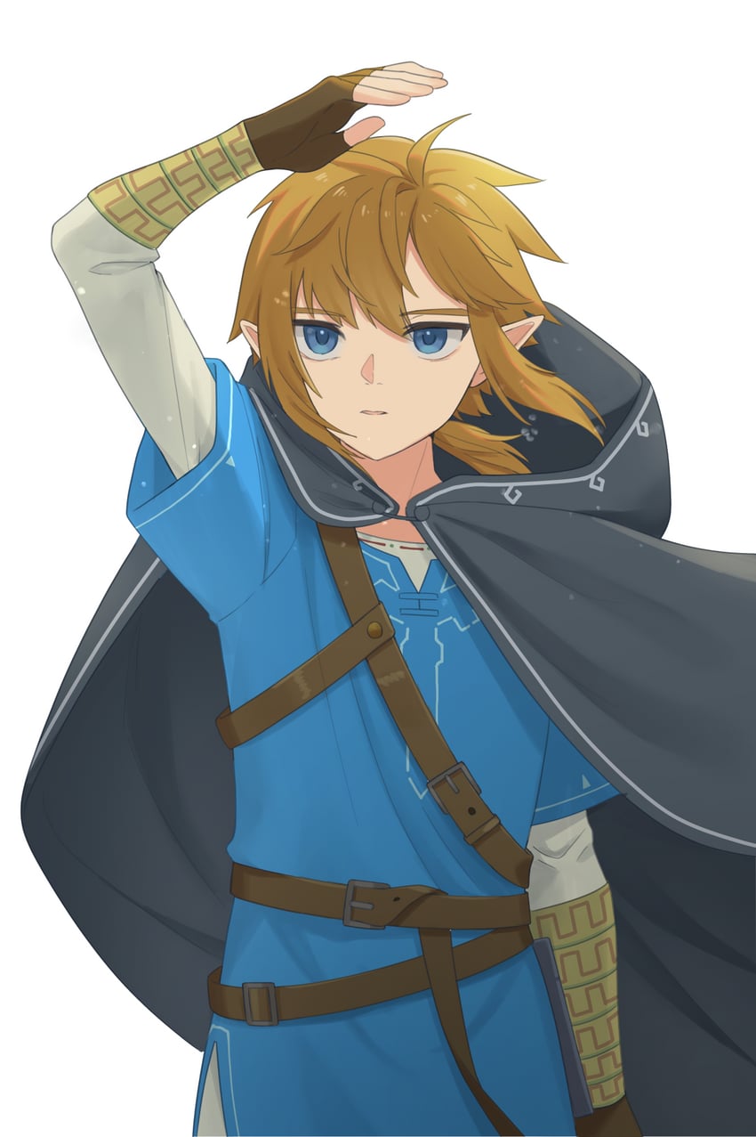 link (the legend of zelda and 1 more) drawn by nzmtarou