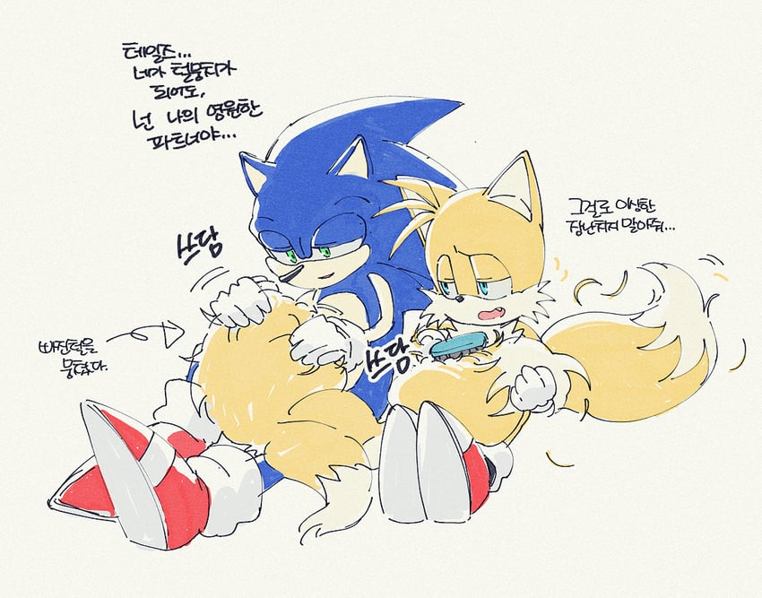 sonic the hedgehog and tails (sonic) drawn by banri_0917