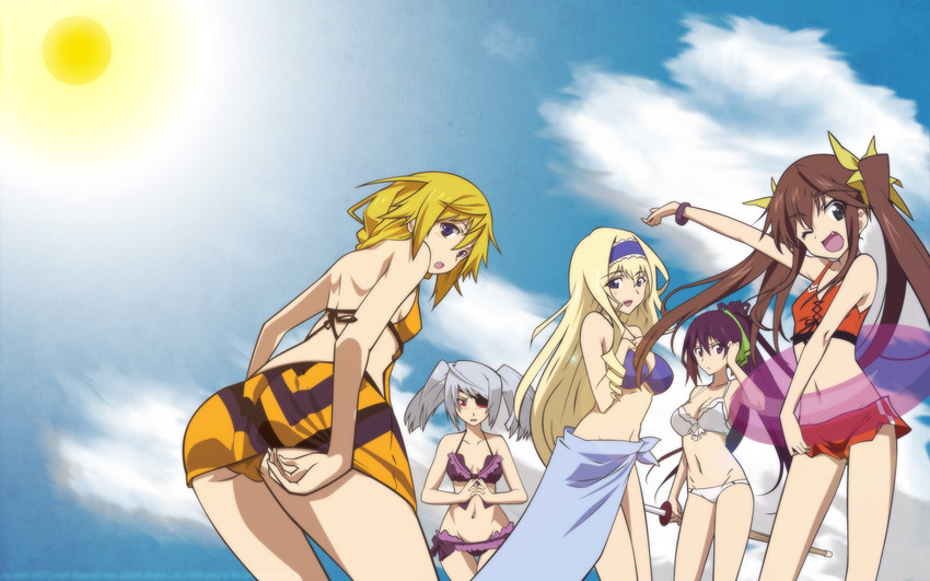 charlotte dunois, cecilia alcott, laura bodewig, shinonono houki, and huang lingyin (infinite stratos)
