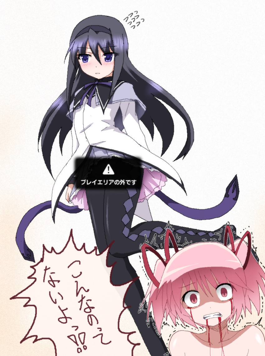 akemi homura and kaname madoka (mahou shoujo madoka magica) drawn by hayashiya_zankurou