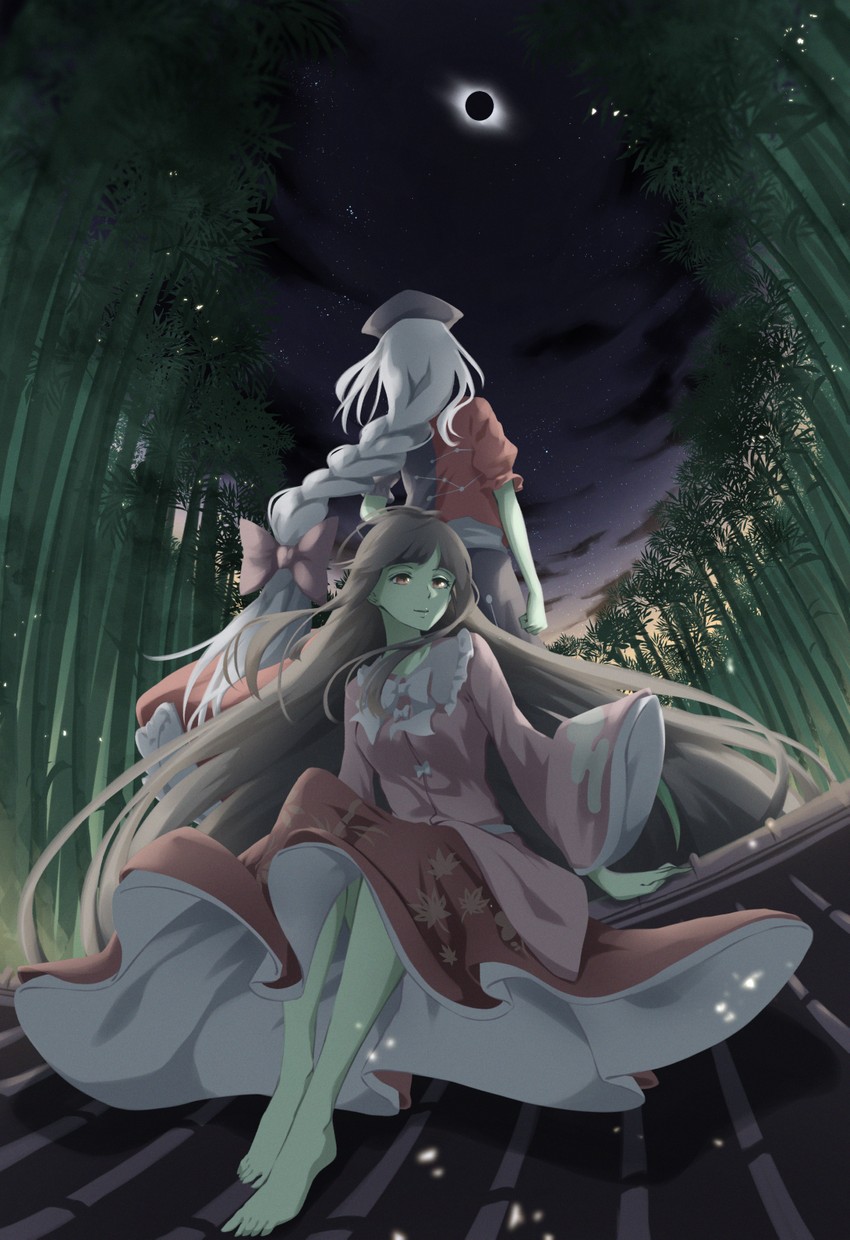 houraisan kaguya and yagokoro eirin (touhou) drawn by otomeza_ryuseigun