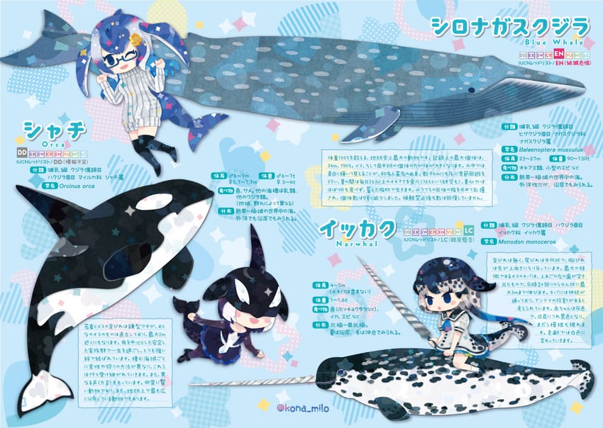 narwhal, blue whale, and orca (kemono friends) drawn by kikuchi_milo