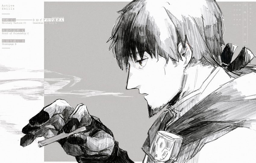 hector (fate and 1 more) drawn by pichoko