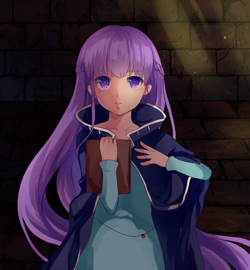 sophia (fire emblem and 1 more) drawn by momomo_(butaonigiri)