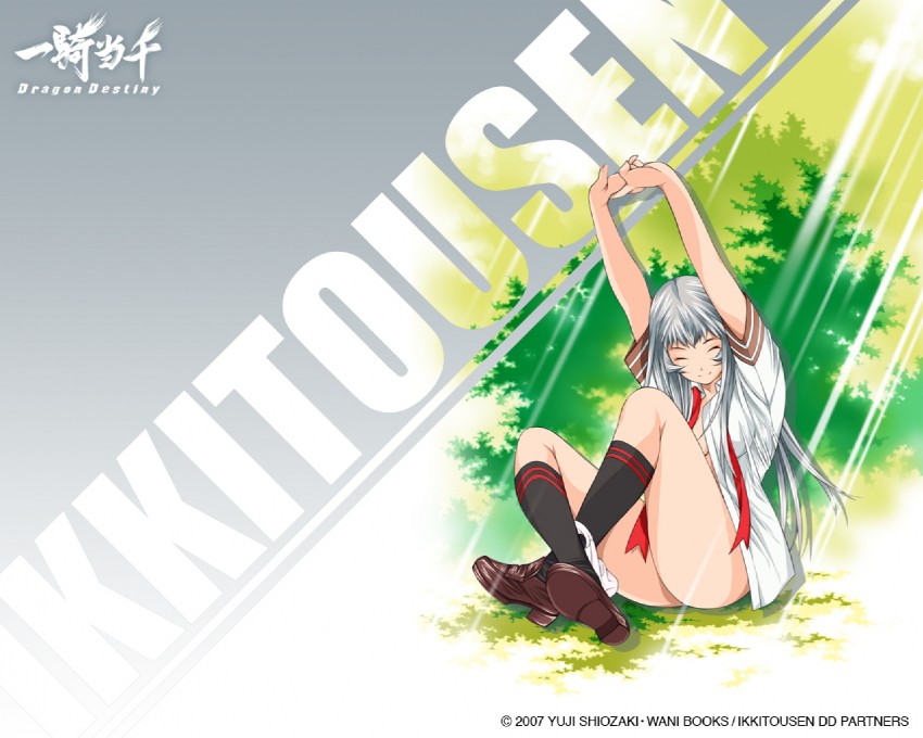 chouun shiryuu (ikkitousen and 1 more) drawn by shiozaki_yuji