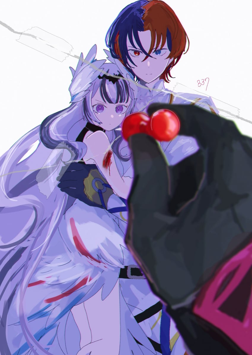 male alear and veyle (fire emblem and 1 more) drawn by sasaki_(dkenpisss)