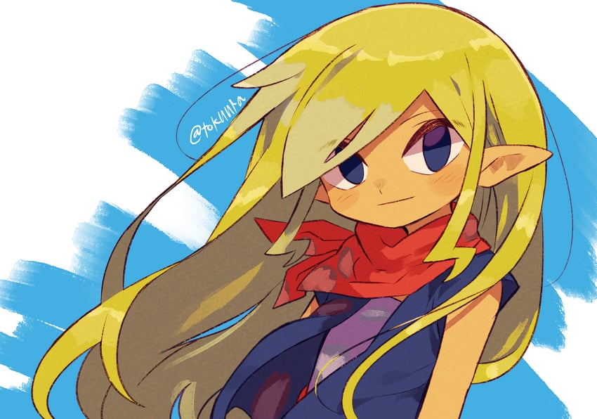 tetra (the legend of zelda and 1 more) drawn by tokuura
