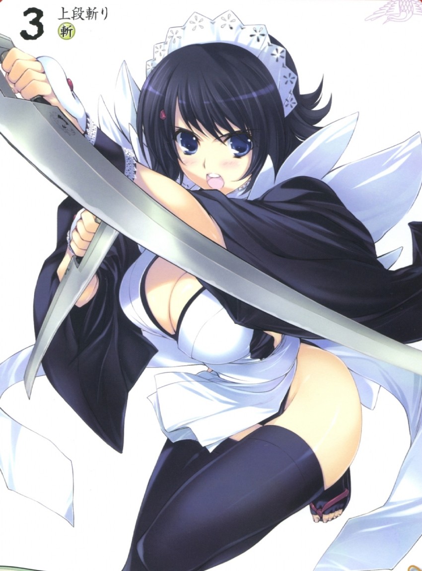 iroha (queen's blade and 2 more) drawn by iizuki_tasuku