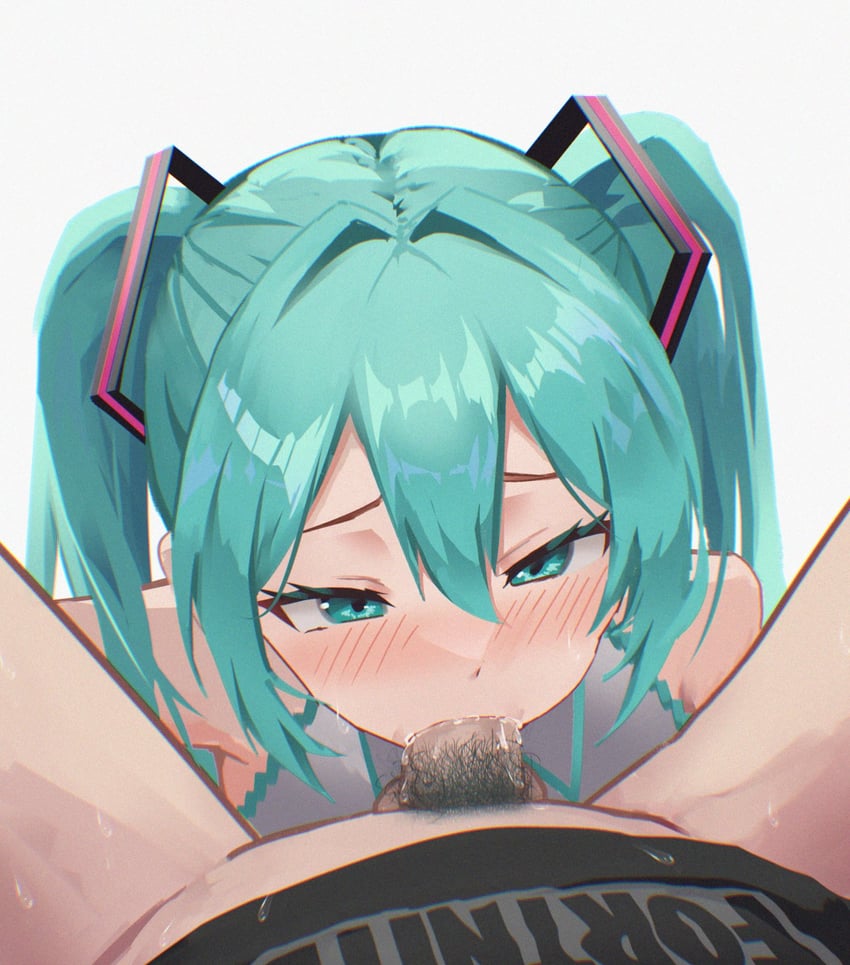 hatsune miku (vocaloid and 1 more) drawn by ahhgik