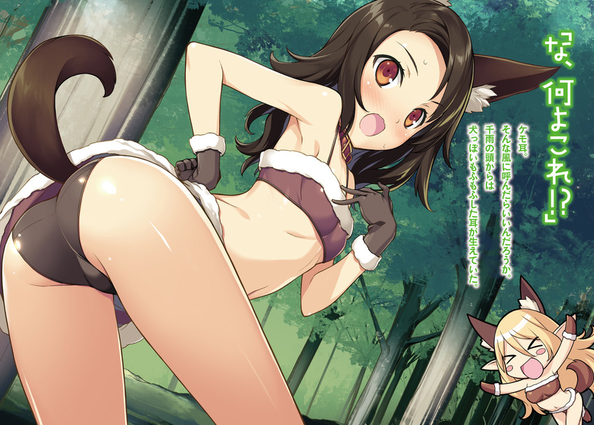 haine tauzent and chizakura chisame (yome elf) drawn by kikuchi_seiji