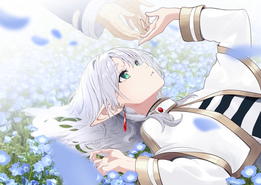frieren and himmel (sousou no frieren) drawn by n_t_(user_ezmk2485)