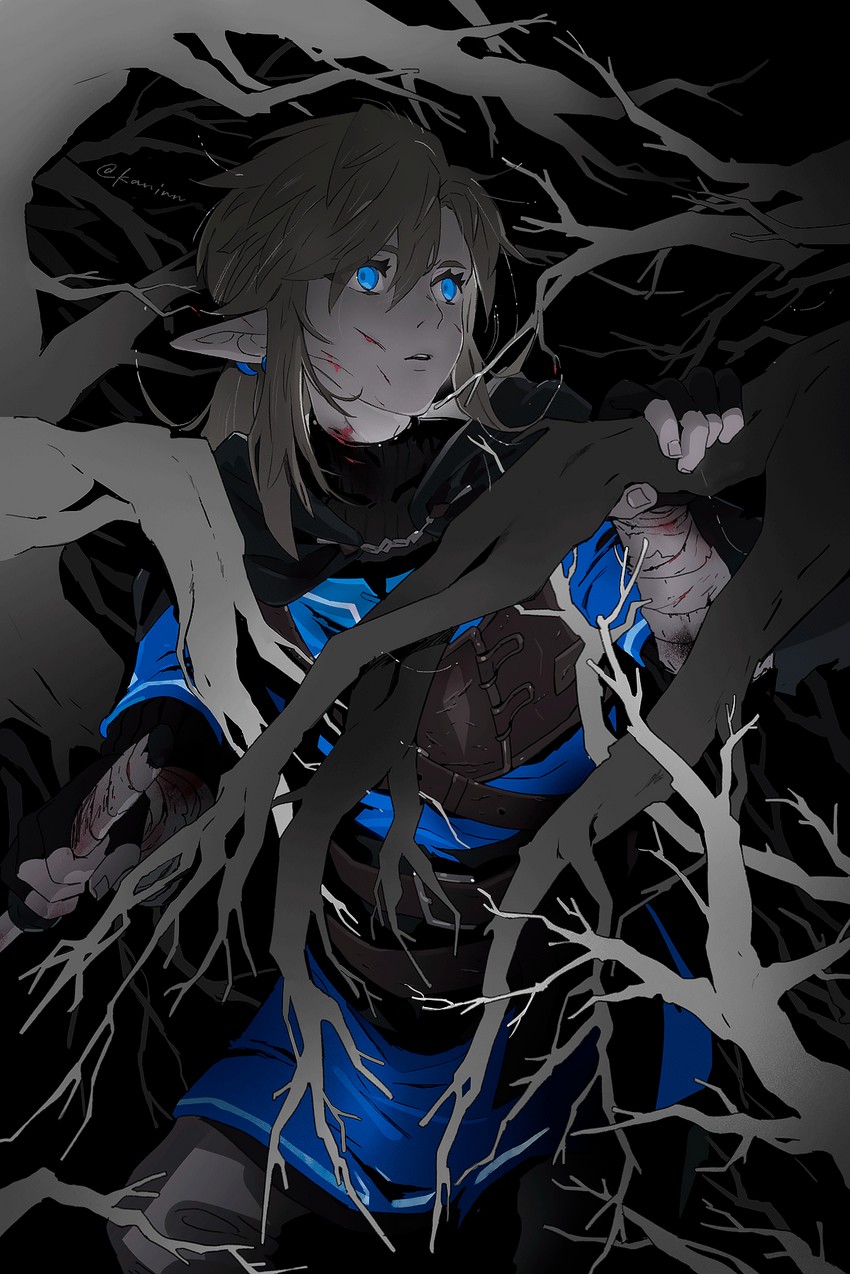 link (the legend of zelda and 1 more) drawn by kaninn